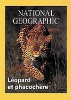 National Geographic - Leopard et phacochre