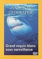 National Geographic - Les grands requins blancs