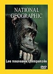 National Geographic - Les nouveaux chimpanzs
