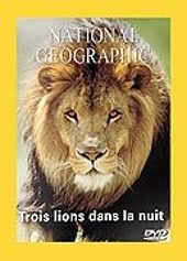 National Geographic - Trois lions dans la nuit