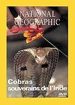National Geographic - Cobras souverains de l'Inde