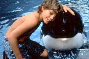 Sauvez Willy